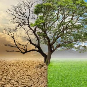 Introdução às Mudanças Climáticas