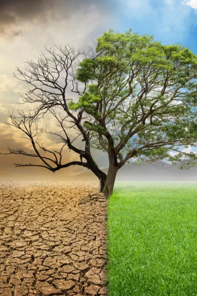 Introdução às Mudanças Climáticas