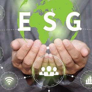 O ESG e a Criação de Valor para Empresas