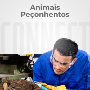Animais Peçonhentos