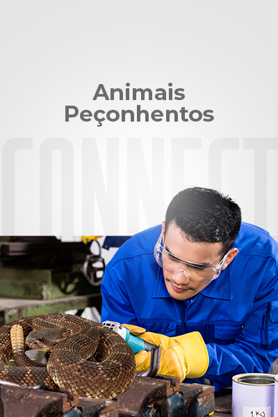 Animais Peçonhentos