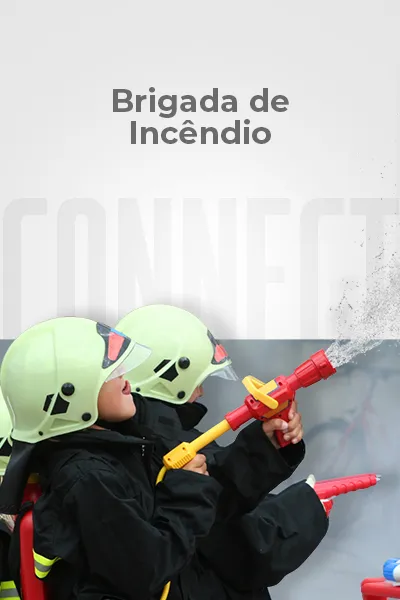 Brigada de Incêndio